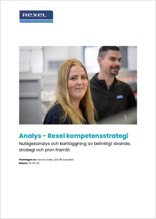 Analys, strategi och plan framåt